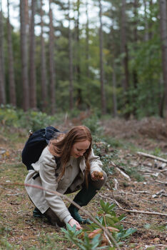 Short Guided Foraging Walk For Two In The South Downs, 4 of 12