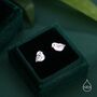 Sterling Silver Baby Robin Bird With Rose Gold Breast Stud Earrings, thumbnail 4 of 12