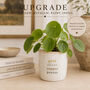 Personalised Wedding Anniversary Plant Pot | 10th 20th 25th 30th 40th 50th 60th, thumbnail 6 of 11