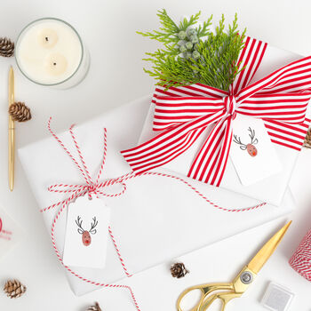 Make Your Own Christmas Reindeer Gift Tag Making Kit, 4 of 9
