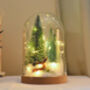 Christmas Terrarium Kit, Glass Dome With Fairy Lights, thumbnail 8 of 8