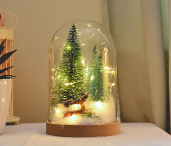 Christmas Terrarium Kit, Glass Dome With Fairy Lights, 8 of 8