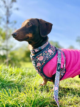 Woodland Hedgehog Dog Harness, 5 of 8