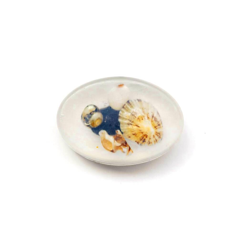 Shell Handmade Soap
