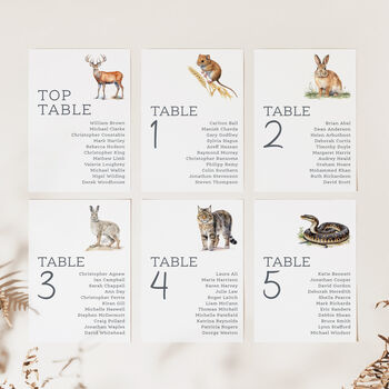 Woodland Animal Wdding Table Plan Cards, 7 of 10