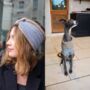 Sky Blue Dog Jumper And Matching Headband Set, thumbnail 1 of 8
