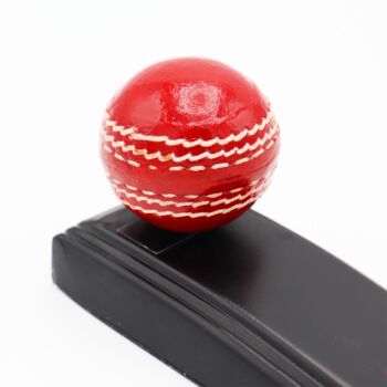 Cricket Ball Door Wedge, 3 of 4