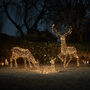 Large Studley Rattan Light Up Reindeer Family, thumbnail 2 of 3