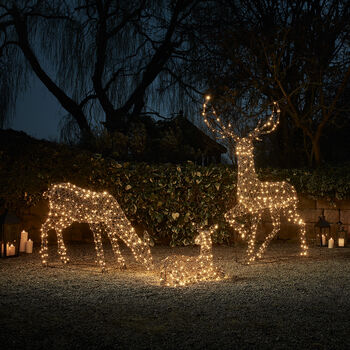 Large Studley Rattan Light Up Reindeer Family, 2 of 3