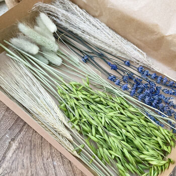 Lavender Bunny Tail Dried Flower Posy Saneco, 3 of 7