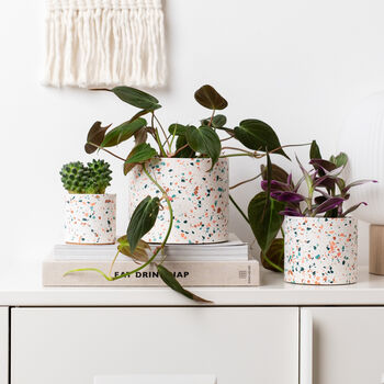 Classic Handmade Terrazzo Indoor Plant Pot Large, 4 of 7