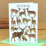 Deer Of Britain Blank Greeting Card, thumbnail 1 of 9