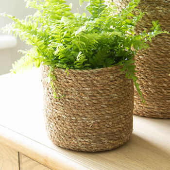 Natural Seagrass Plant Pot, 2 of 2