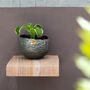 Myrtle Galvanised Zinc Set Of Two Wall Planters, thumbnail 5 of 6