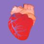 Giant Anatomical Heart Bath Bomb, thumbnail 3 of 5