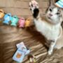 Cat Happy Birthday Kit, thumbnail 1 of 3