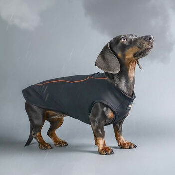 Dachshund Dog Technical Fleece Coat, 3 of 8
