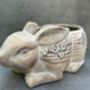 Adorable Rabbit Flower Pot For Indoor Plant Rabbit Gift, thumbnail 7 of 9