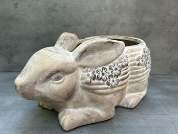 Adorable Rabbit Flower Pot For Indoor Plant Rabbit Gift, 7 of 9