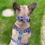 Candy Floral Adjustable Padded Dog Harness, thumbnail 10 of 10