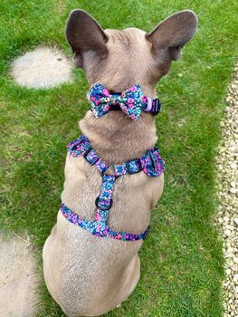 Candy Floral Adjustable Padded Dog Harness, 10 of 10