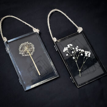 Pressed Flower Frame: Gift Set, 3 of 7