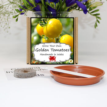 Gardening Gift. Yellow Tomato Growing Kit, 2 of 4
