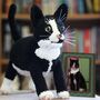 Personalised Crocheted Cuddly Toy Of Your Cat, thumbnail 1 of 12