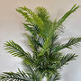 Artificial Palm Tree Faux House Plant, thumbnail 4 of 8