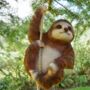 Garden Climbing Sloth, thumbnail 1 of 3
