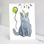 British Blue Birthday Card | Cat Lover Birthday Card, thumbnail 1 of 3