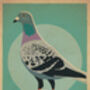 Rock Pigeon Birds Retro Style Poster Print, thumbnail 2 of 2