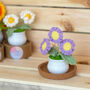 Joyful Daisy And Tulip Crochet Plant Pot Collection, thumbnail 1 of 7