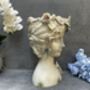 26cm Grey Green Ladies Head Plant Pot With Pink Flowers, thumbnail 11 of 12