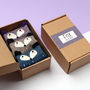 Fox In A Box Socks Gift Set, thumbnail 1 of 3