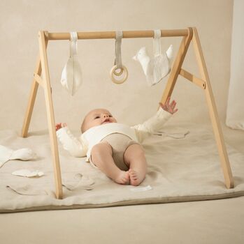 Beechwood Baby Bouncer With Linen Cover, 2 of 6
