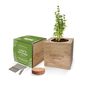 Personalised Thyme Desktop Cube Garden, thumbnail 1 of 6