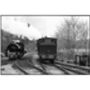Mid Suffolk Light Railway Photographic Art Print, thumbnail 3 of 4