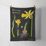 Illustrated Daffodil Tea Towel, thumbnail 1 of 3