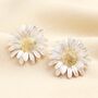 Large Daisy Stud Earrings, thumbnail 2 of 4