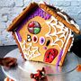 Large Halloween Haunted Gingerbread House Diy Gift Kit, thumbnail 1 of 5