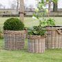Round Rattan Lined Planter With Rope Handle, thumbnail 1 of 4