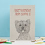 West Highland Terrier Birthday Card, thumbnail 1 of 1