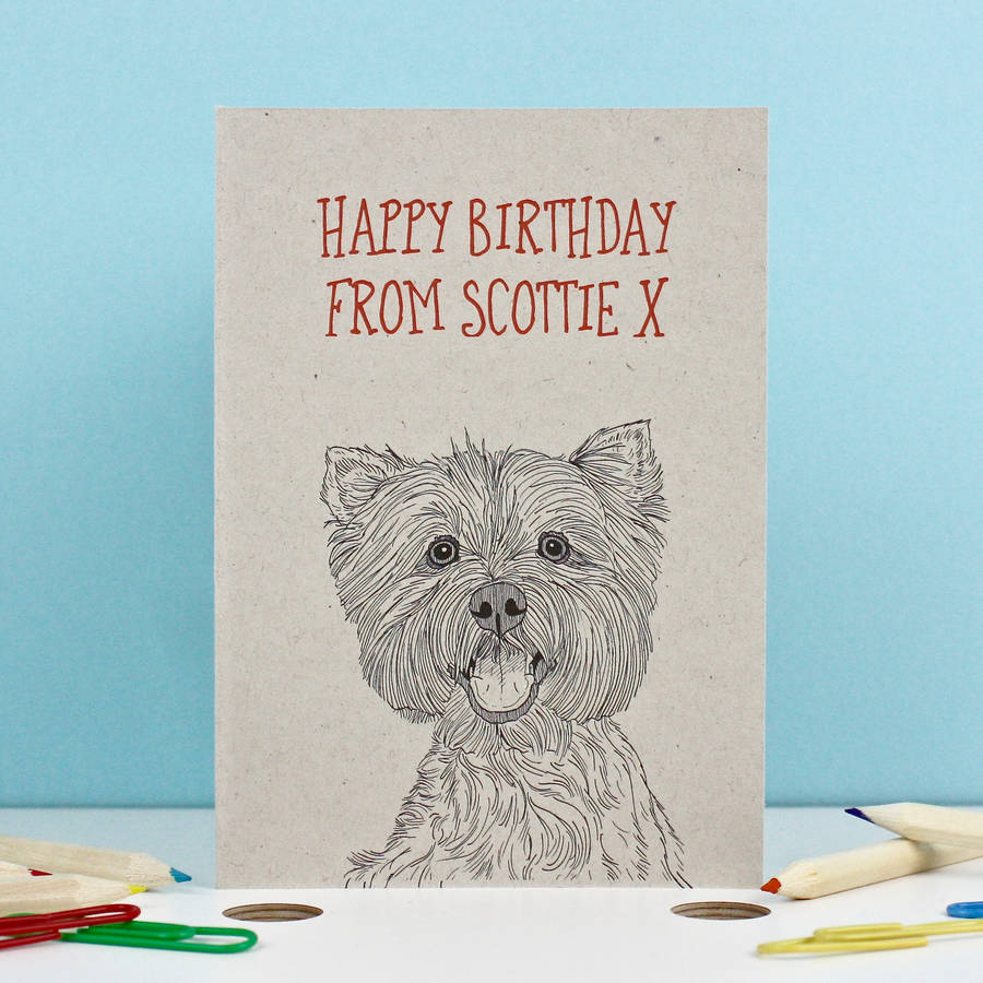 West Highland Terrier Birthday Card
