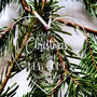 Personalised 1st Christmas New Home Hanging Decoration, thumbnail 2 of 2