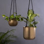 Golden Hanging Planters Set Of Two, thumbnail 1 of 10