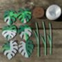 Monstera Variegata Plant With Six Leaf Coasters, thumbnail 8 of 11