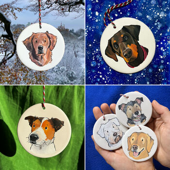 Custom Christmas Bauble Decoration Of Your Pet, 8 of 11