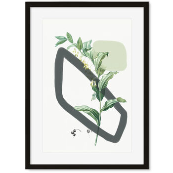 Vintage Plants With Shapes Art Print, 4 of 6