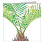 Gold Foiled Sago Palm Birthday Card, thumbnail 2 of 4